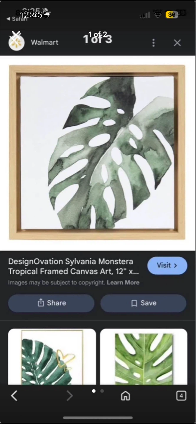 DesignOvation Sylvania Monstera Tropical Framed Canvas Art