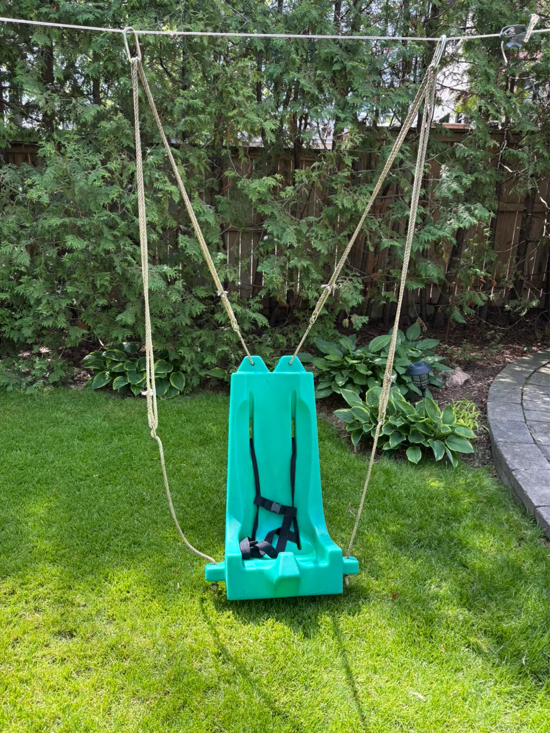 Swing Seat with Harness