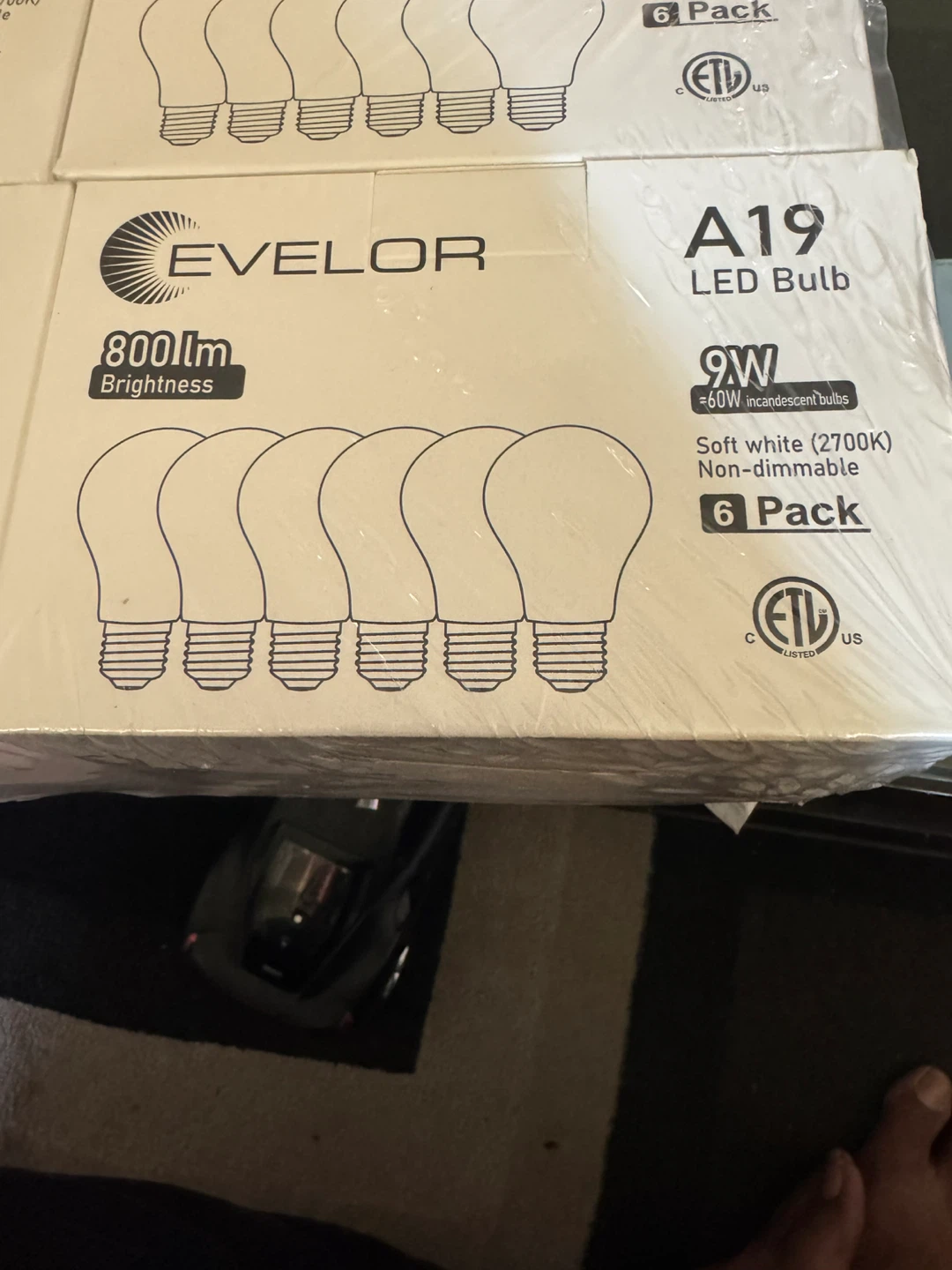 Evelor A19 LED Light Bulbs - 6 Pack