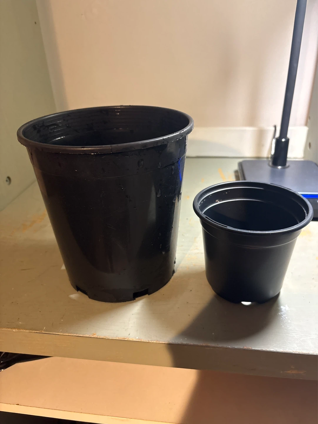 Two Black Plastic Plant Pots