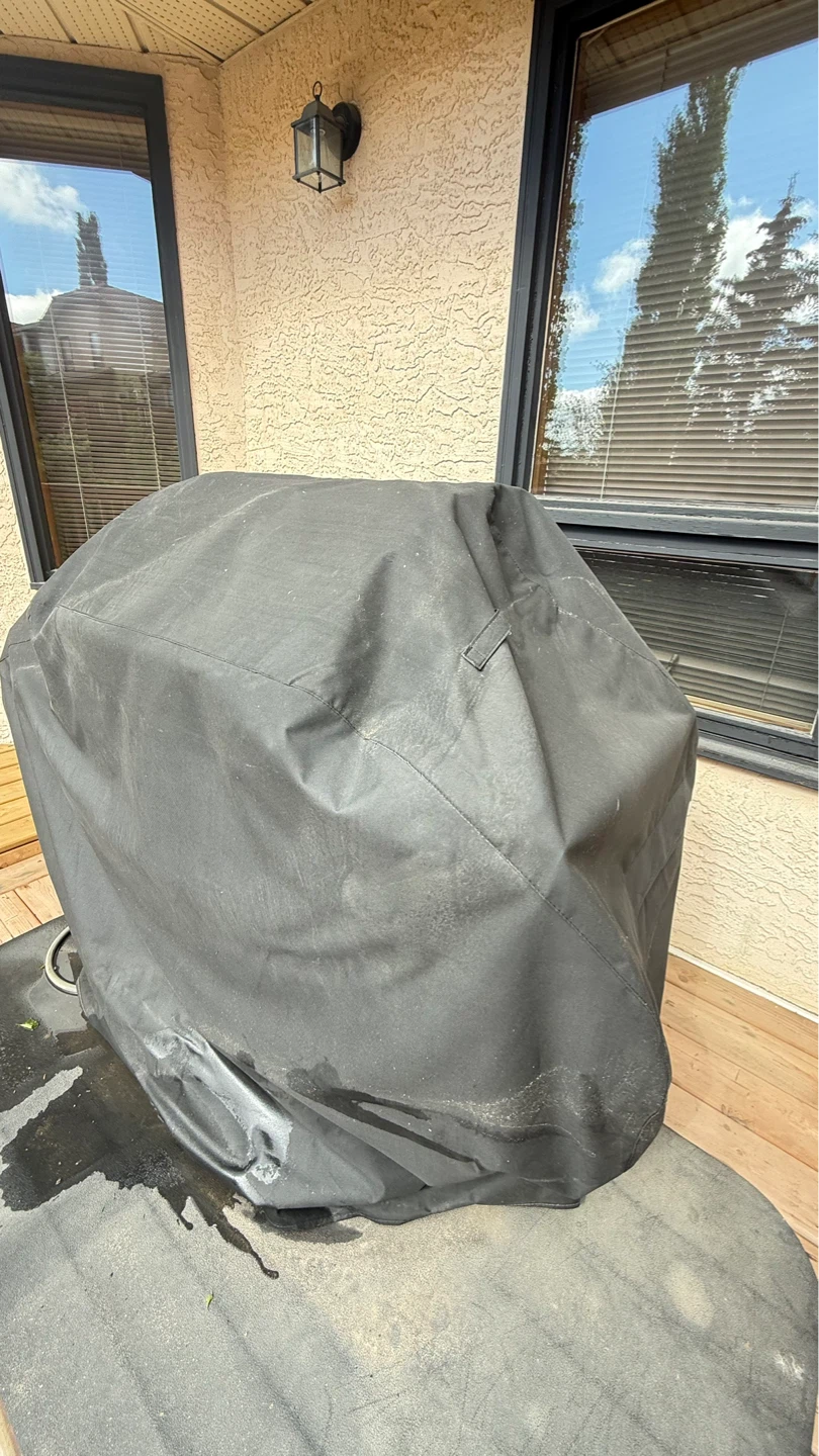 Moving Sale - Master Chef Gas Grill - photo 4