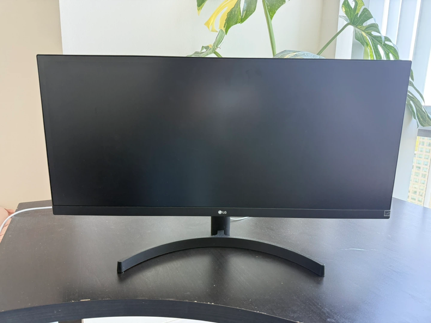 LG ultra wide computer Monitor