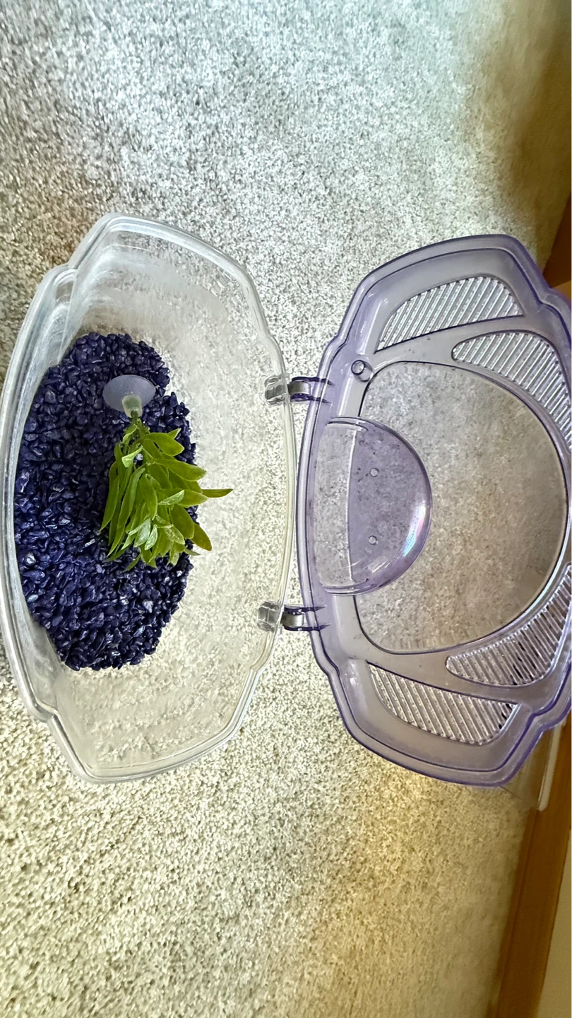 Moving Sale - Aquarium Tank with Filter and Nets - photo 3