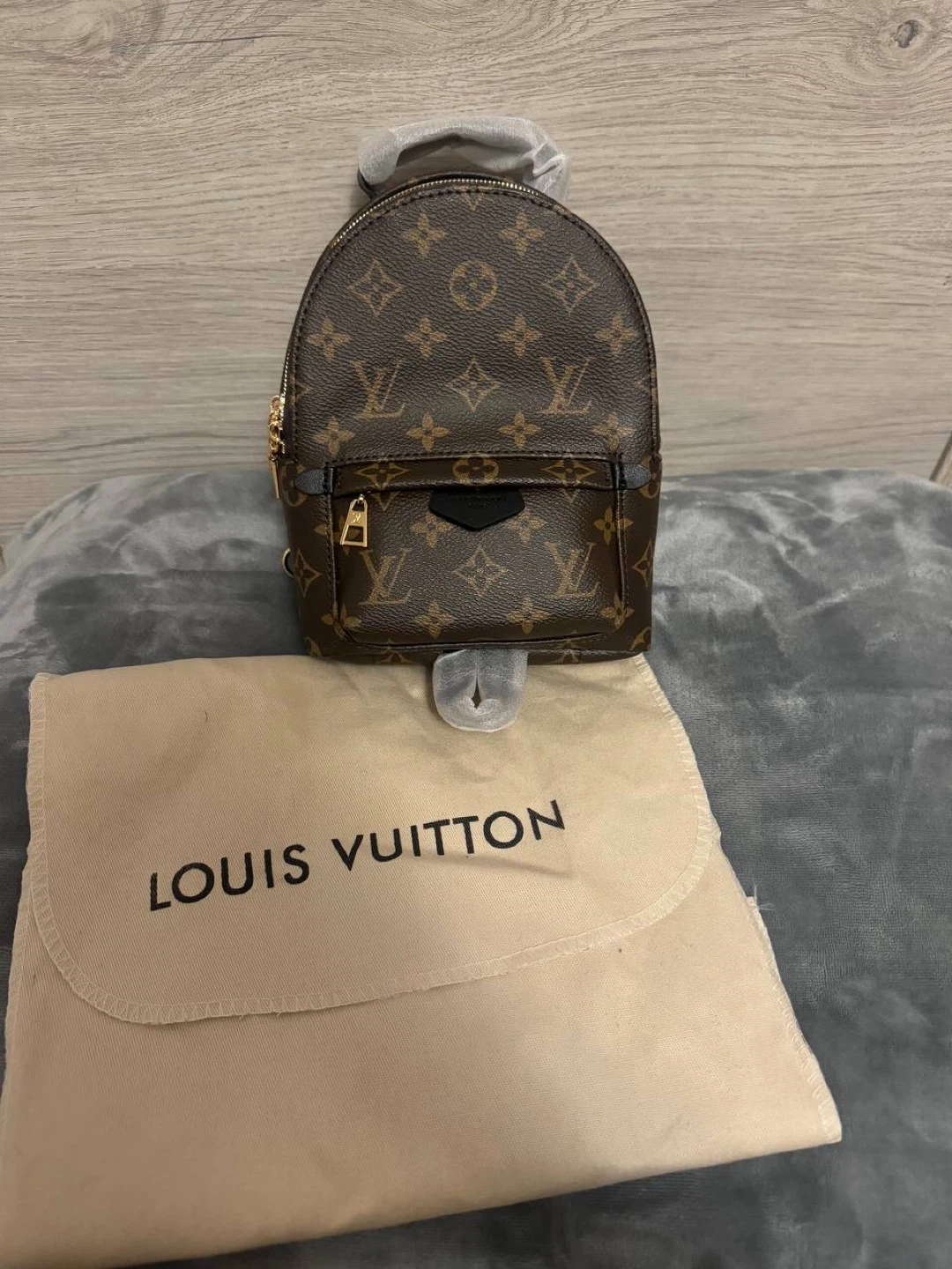 Louis Vuitton Mini Backpack