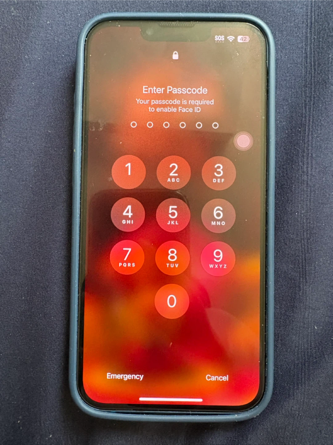 Apple iPhone 13 Blue