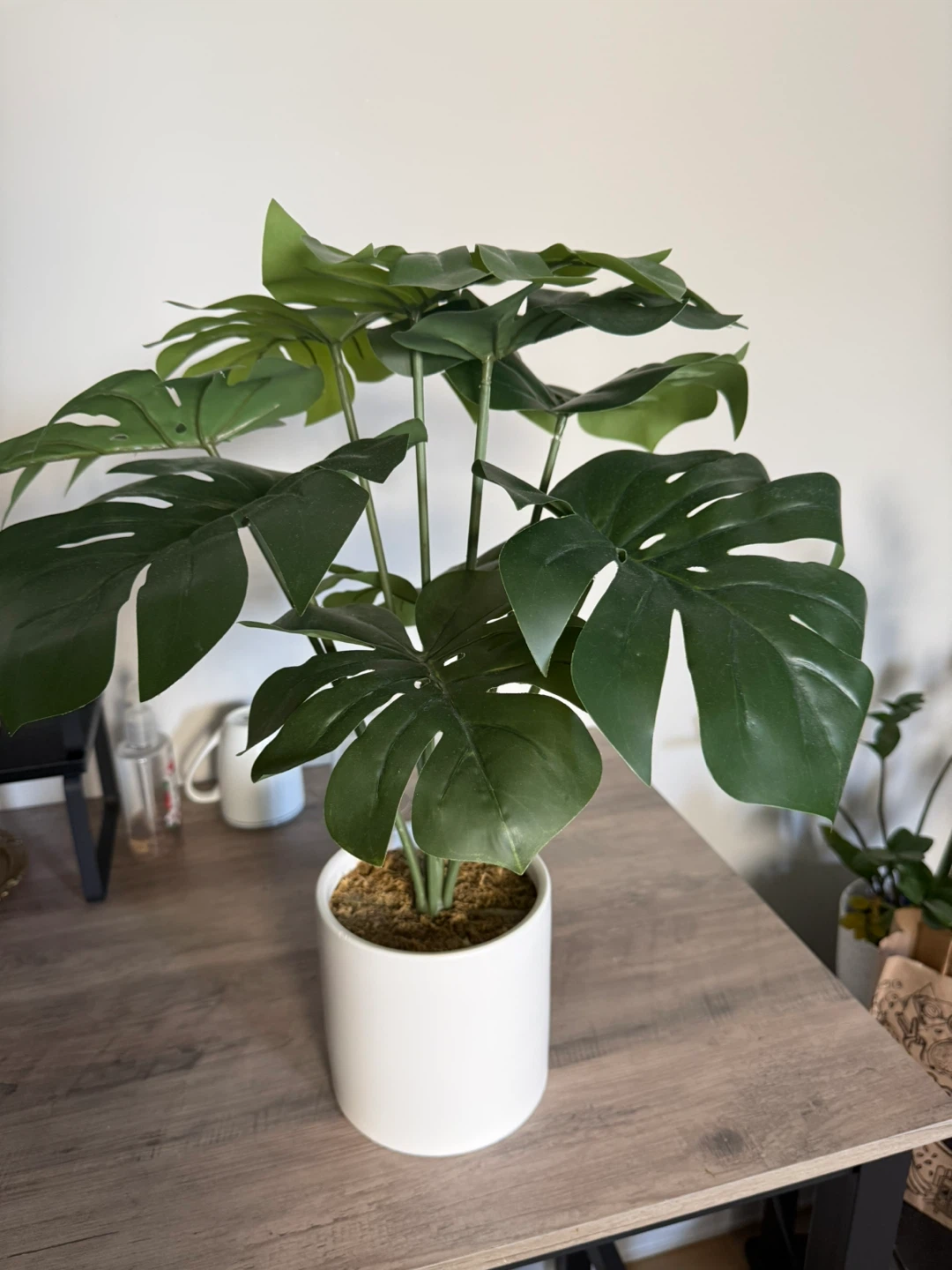 Artificial Monstera Plant in White Pot