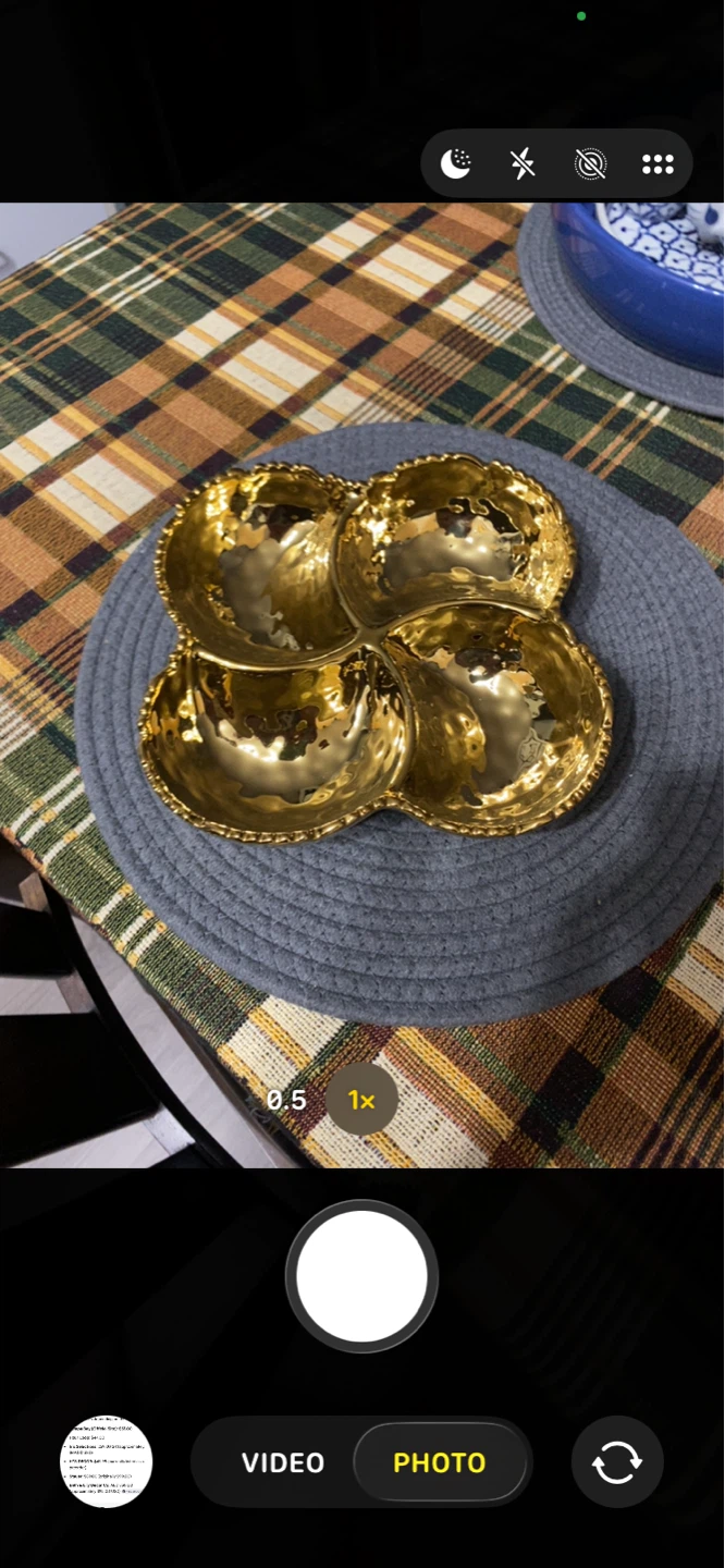 Four Section serving bowl(collectable)