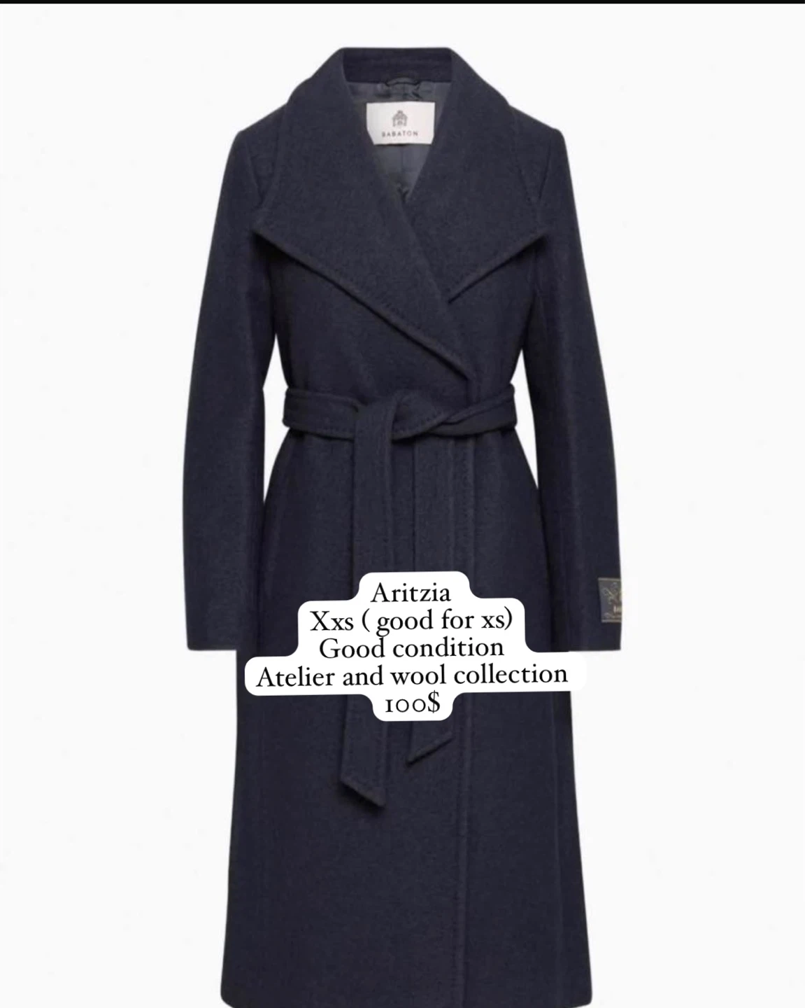 Aritzia Wool Coat