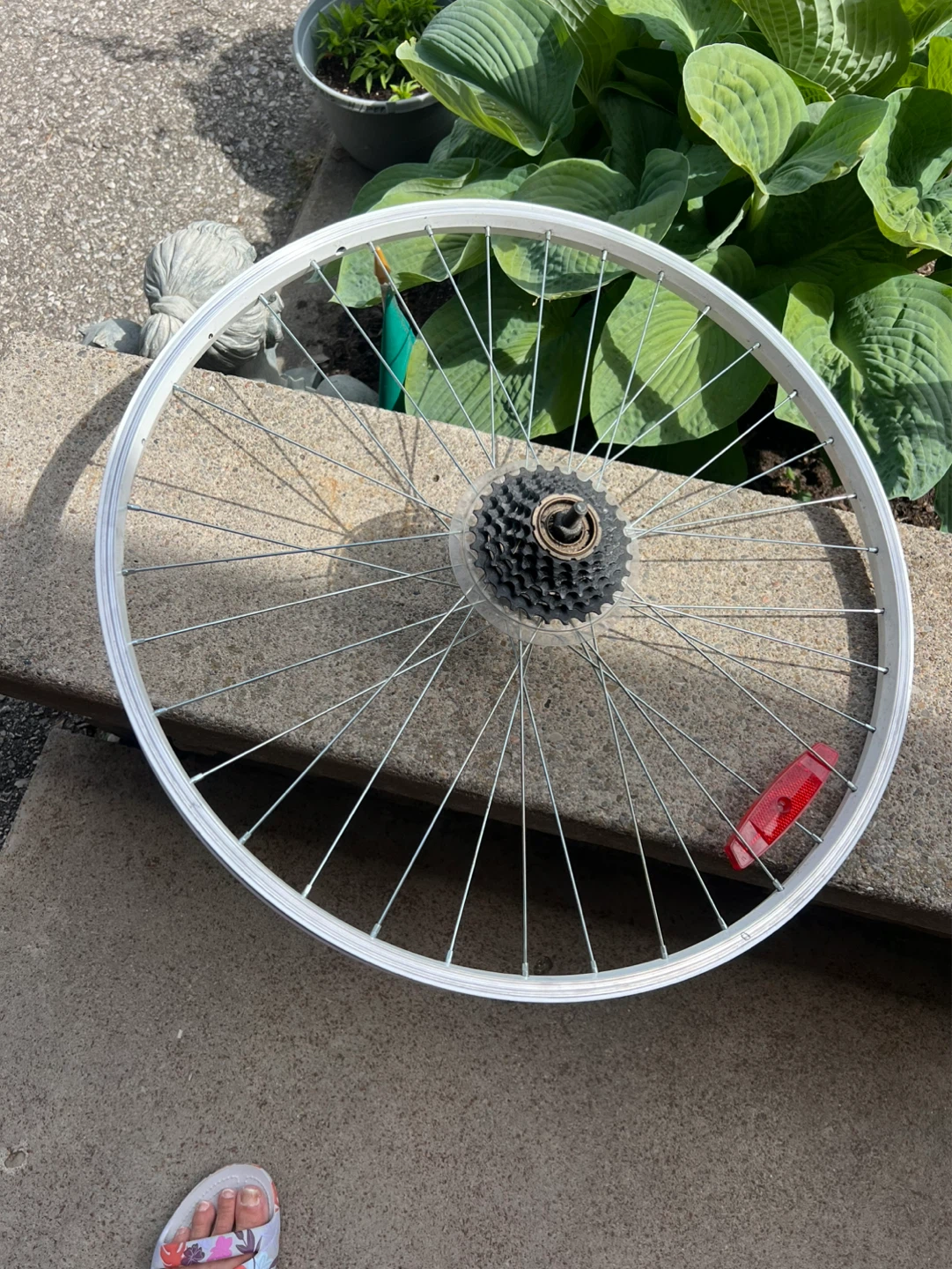 White Cruiser Bicycle rim needed? - photo 2