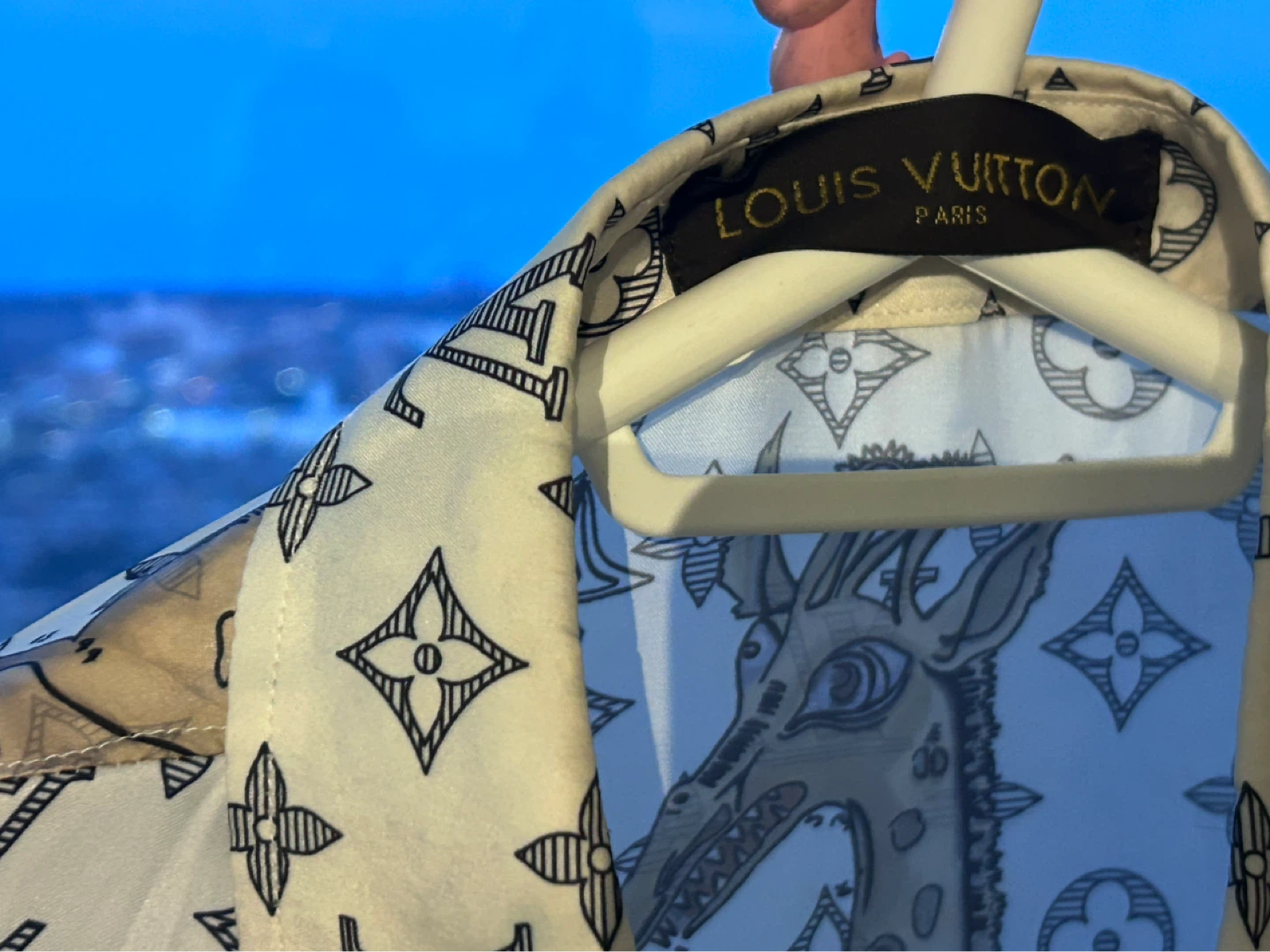 Louis Vuitton Printed Button-Up Shirt - photo 3