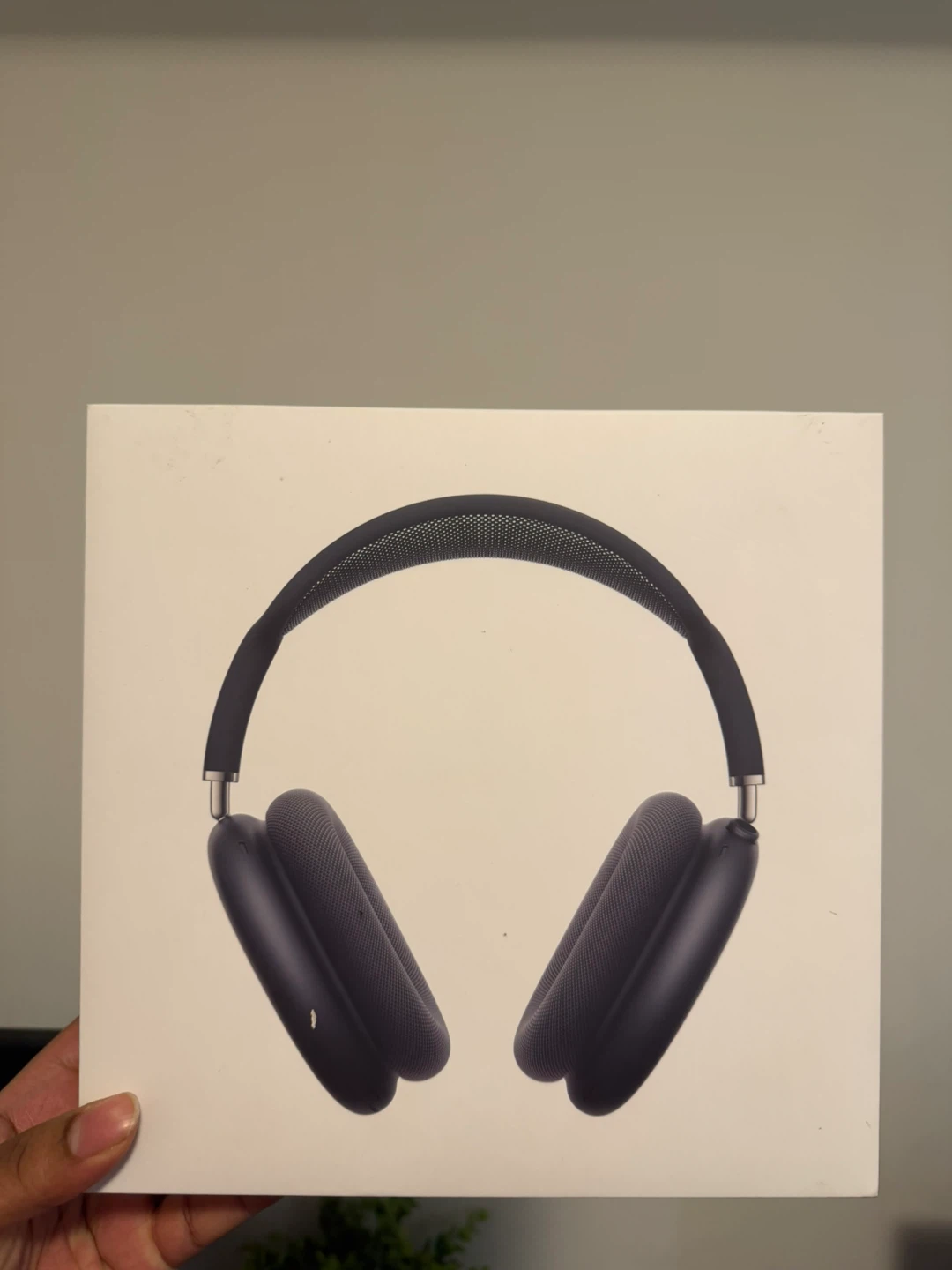 Apple AirPods Max Headphones