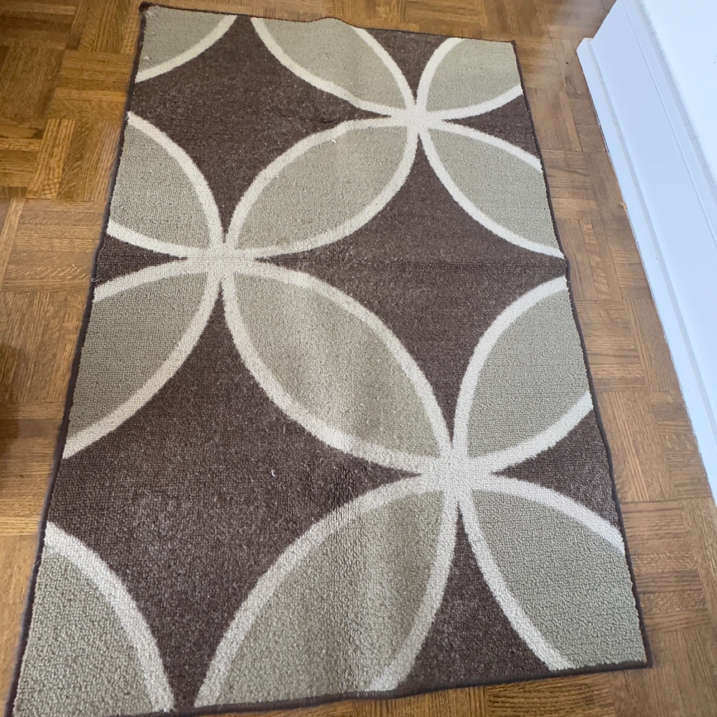 Area Rug with Geometric Pattern