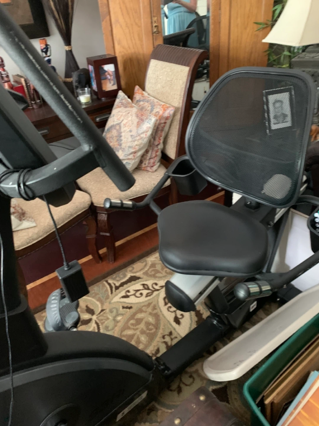 BH Fitness Recumbent Exercise Bike