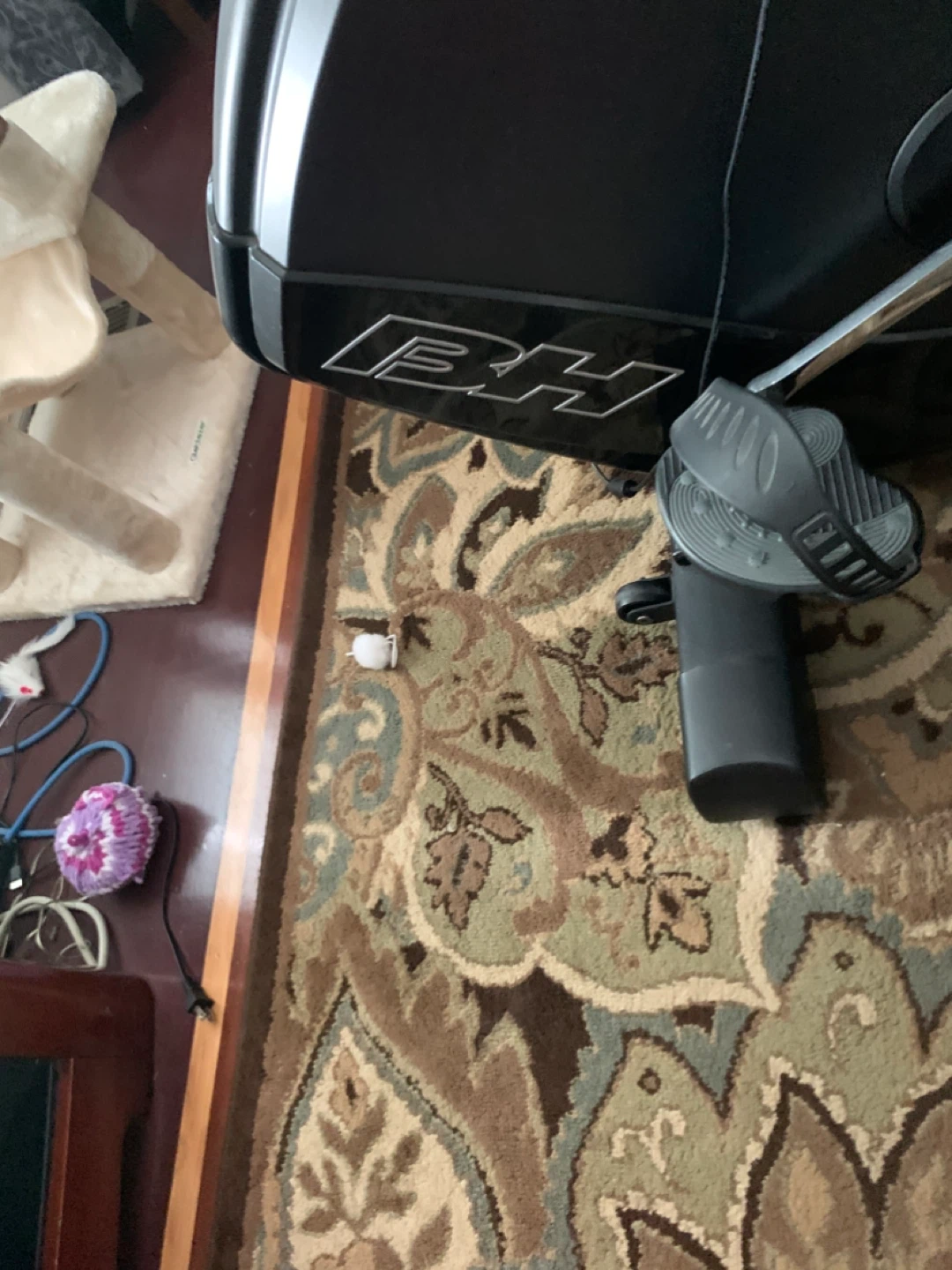 BH Fitness Recumbent Exercise Bike - photo 4