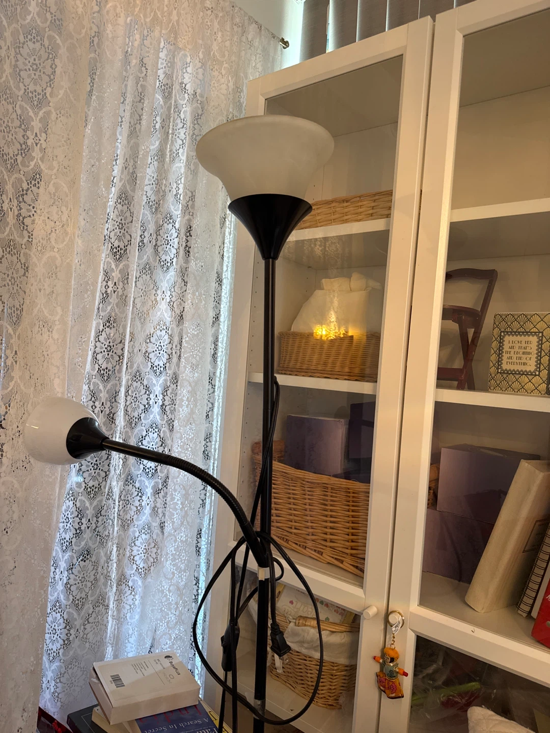 Black Floor Lamp with Adjustable Gooseneck Light