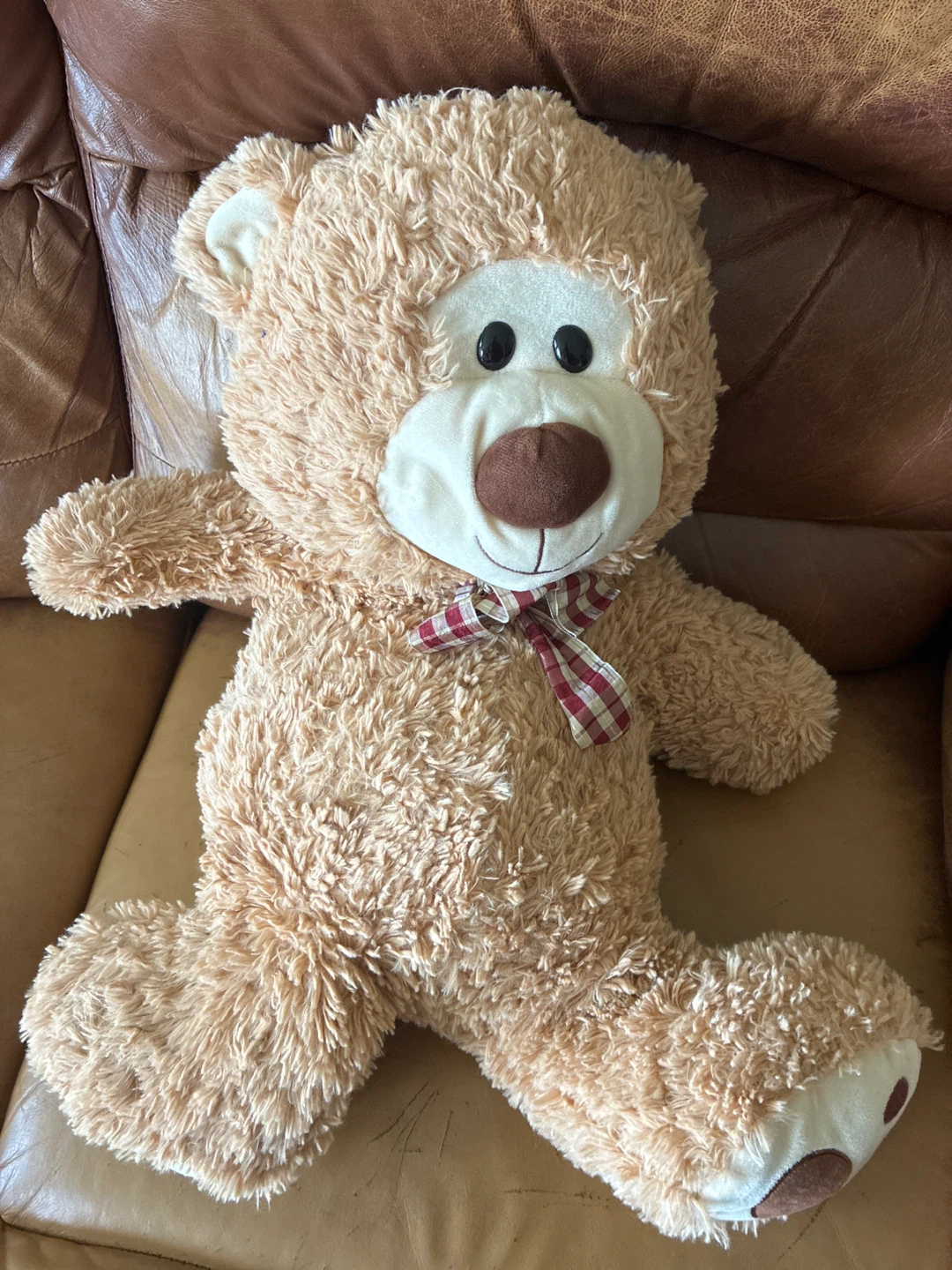 Plush Teddy Bear