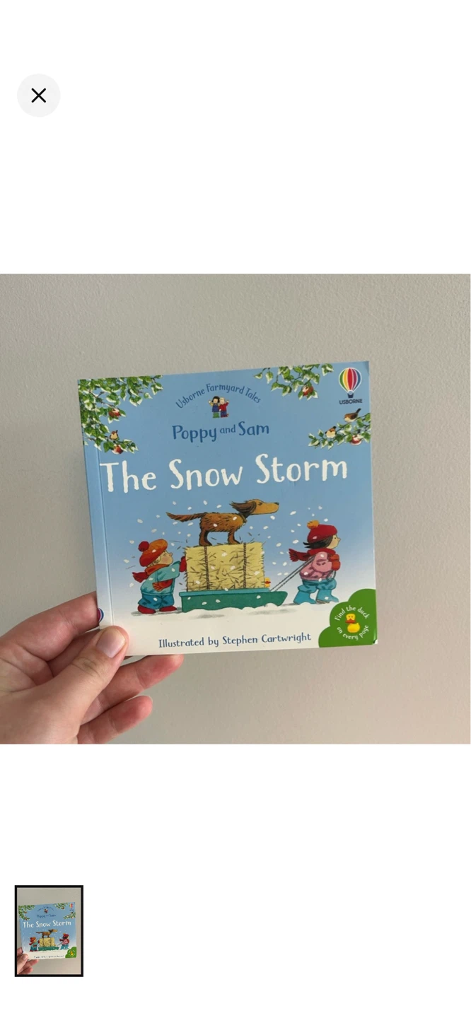 Usborne  Book - photo 5