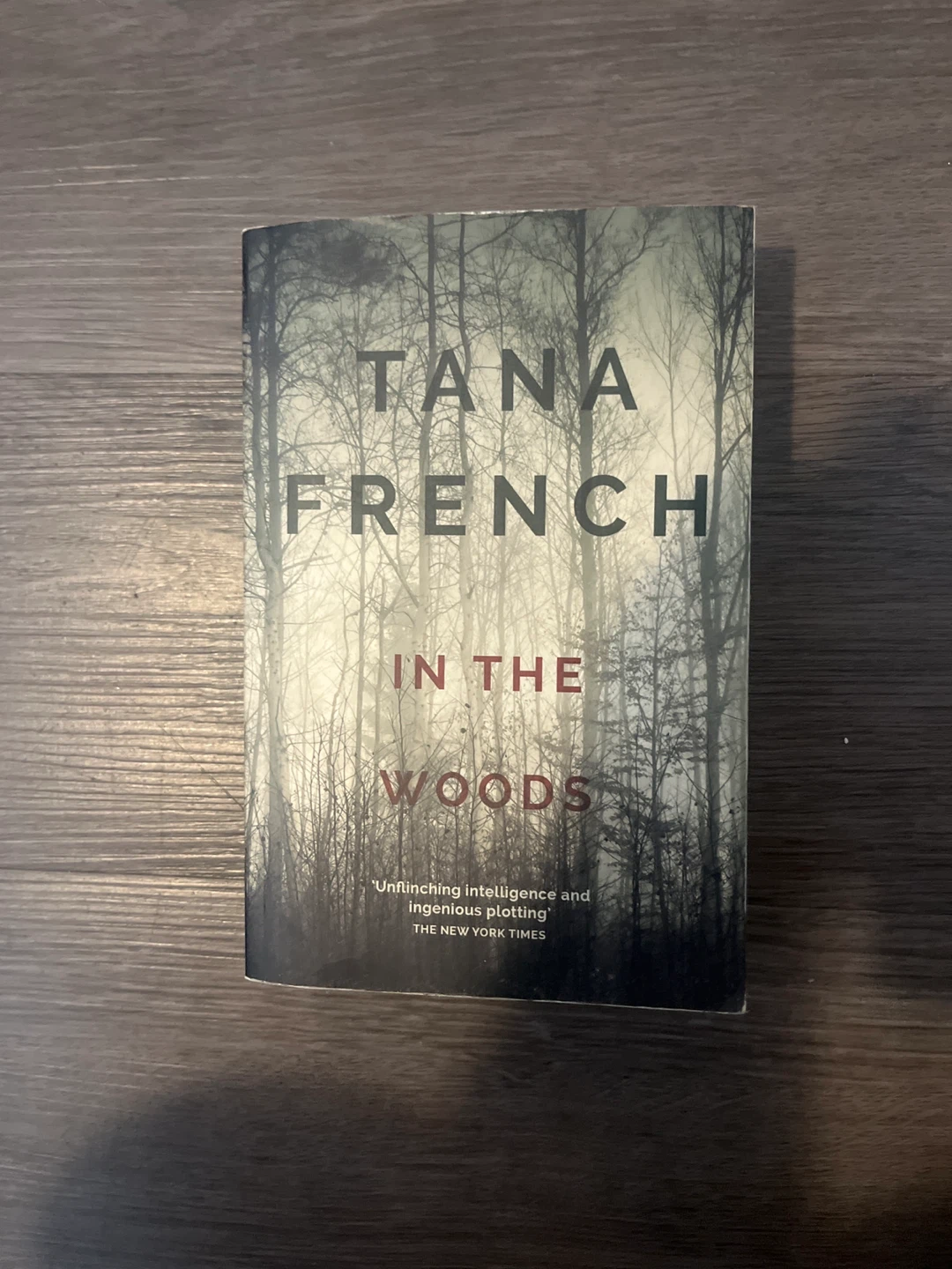 In the Woods by Tana French Fiction Novel