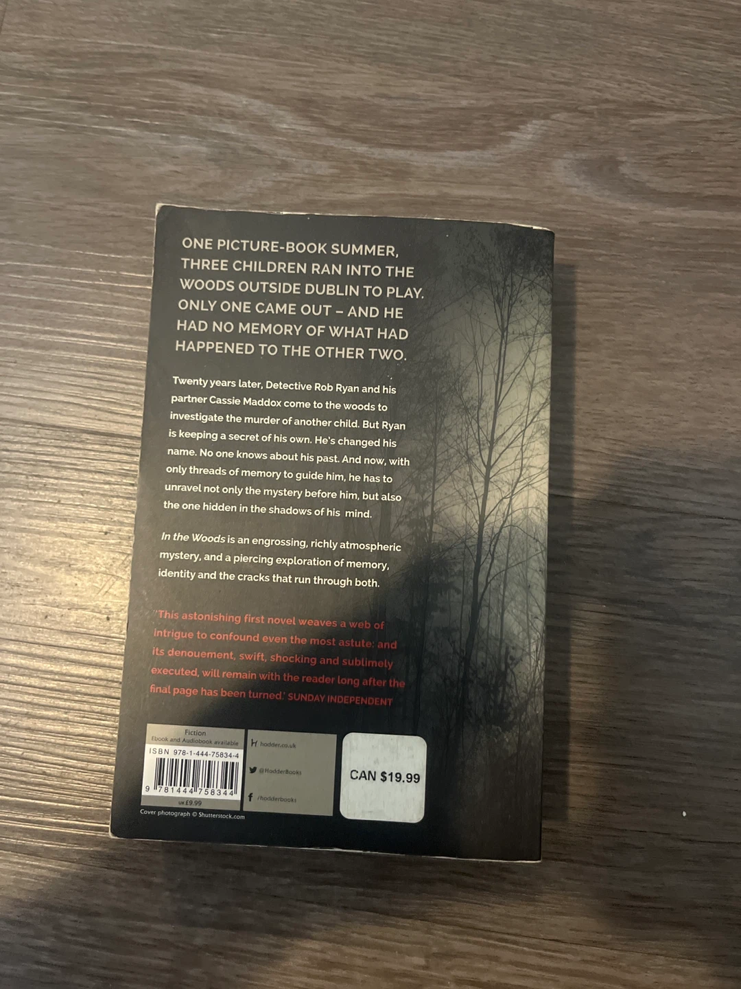 In the Woods by Tana French Fiction Novel - photo 2