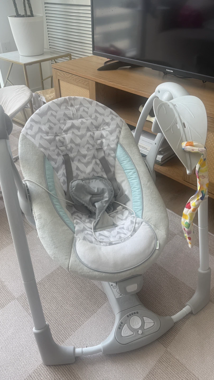 Ingenuity Baby Swing - photo 4