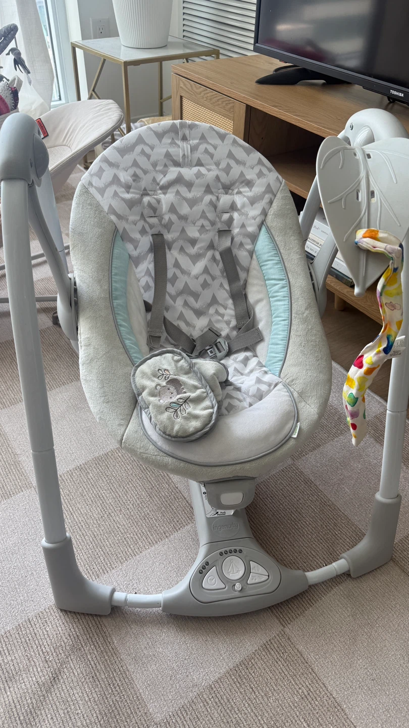 Ingenuity Baby Swing - photo 3