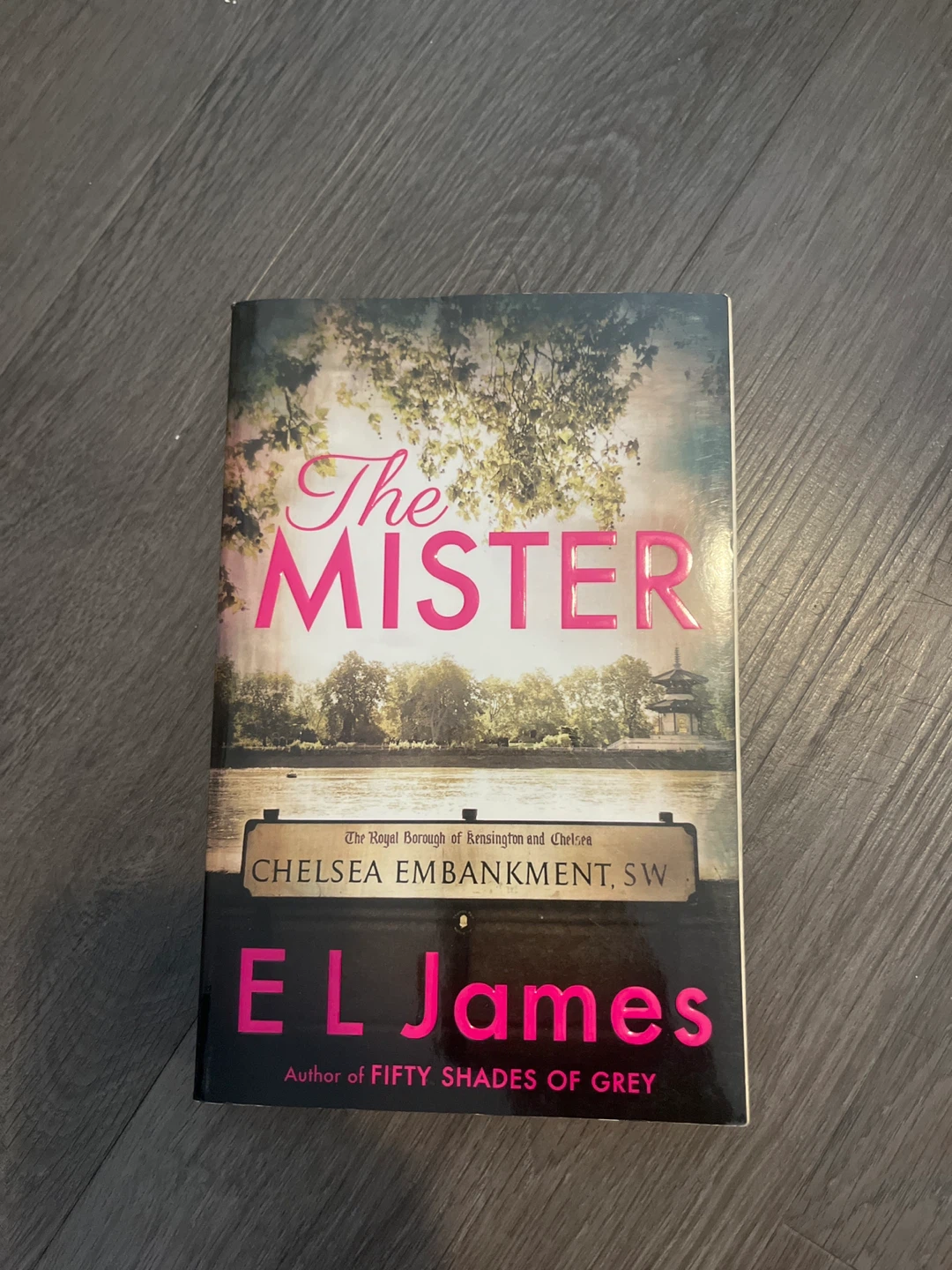 The Mister by E L James Novel