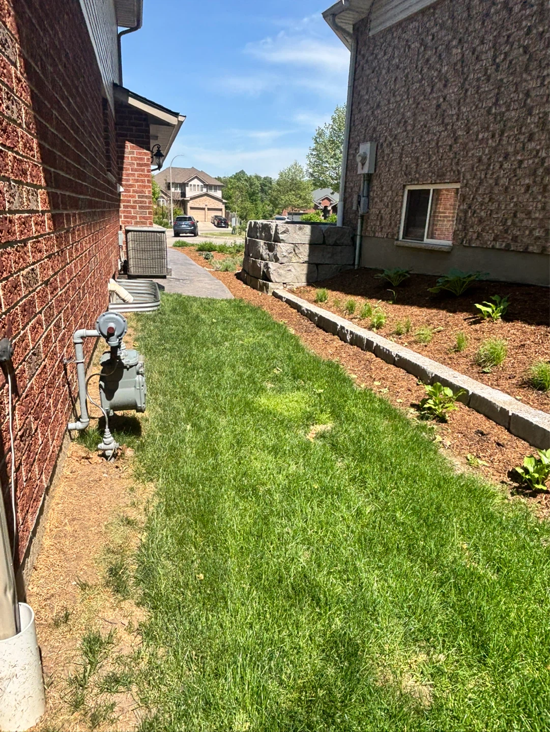 Grass cutting all summer long (*check description*) - photo 5