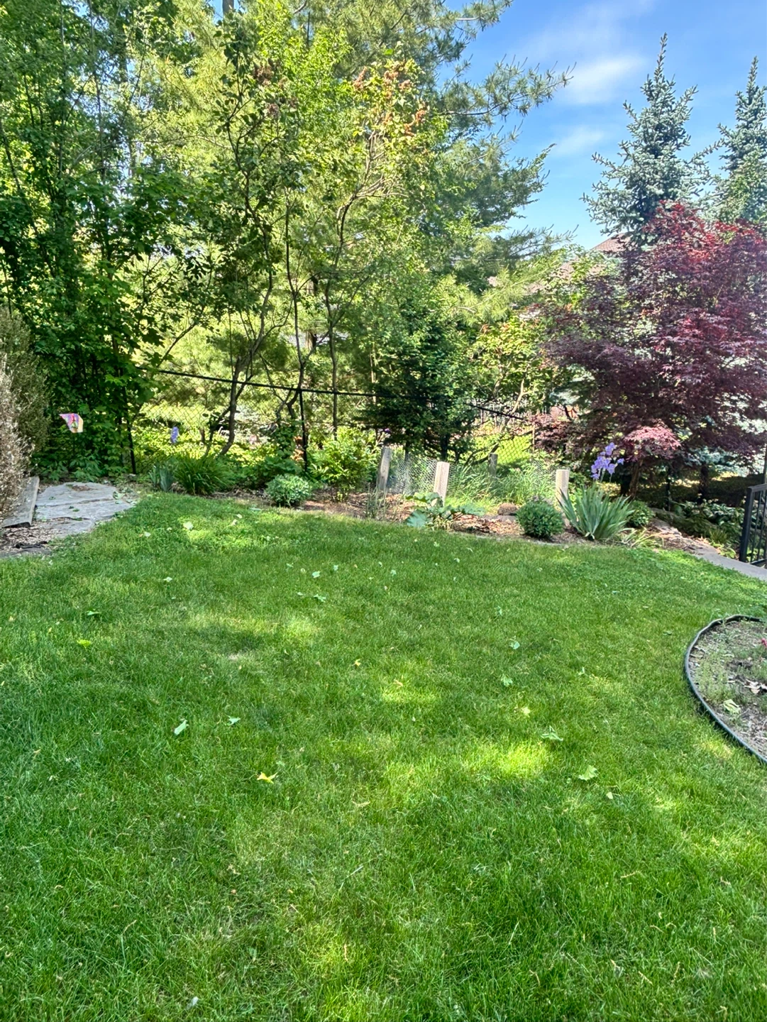 Grass cutting all summer long (*check description*) - photo 2