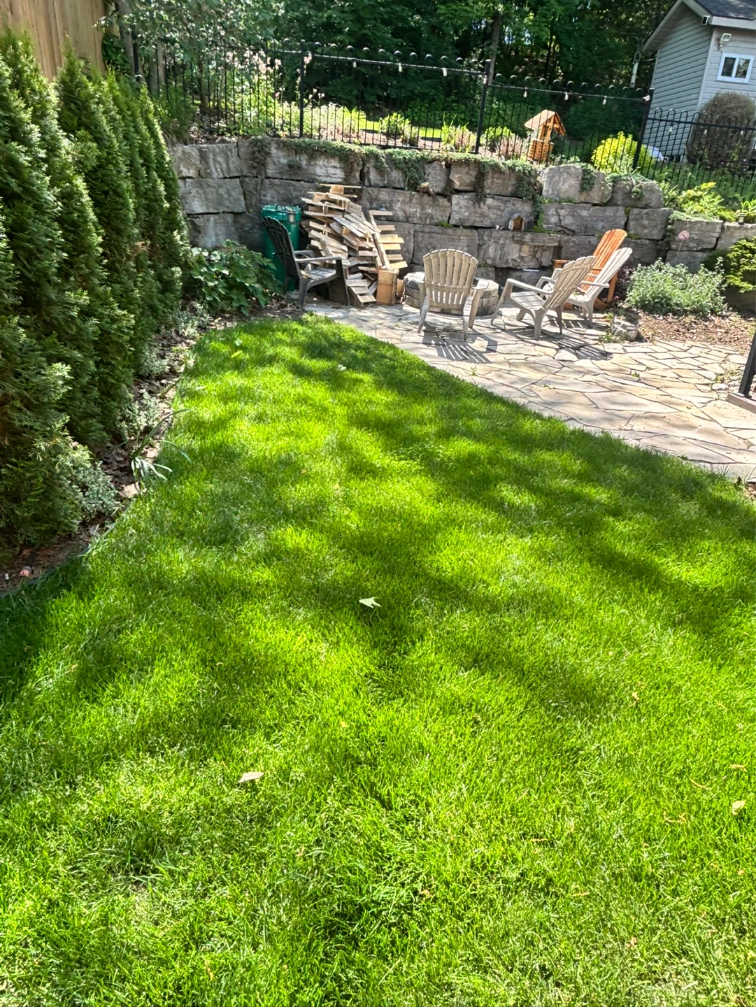 Grass cutting all summer long (*check description*) - photo 4