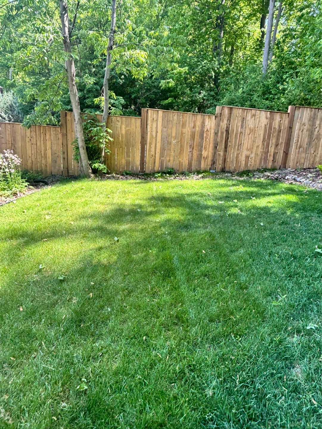 Grass cutting all summer long (*check description*)
