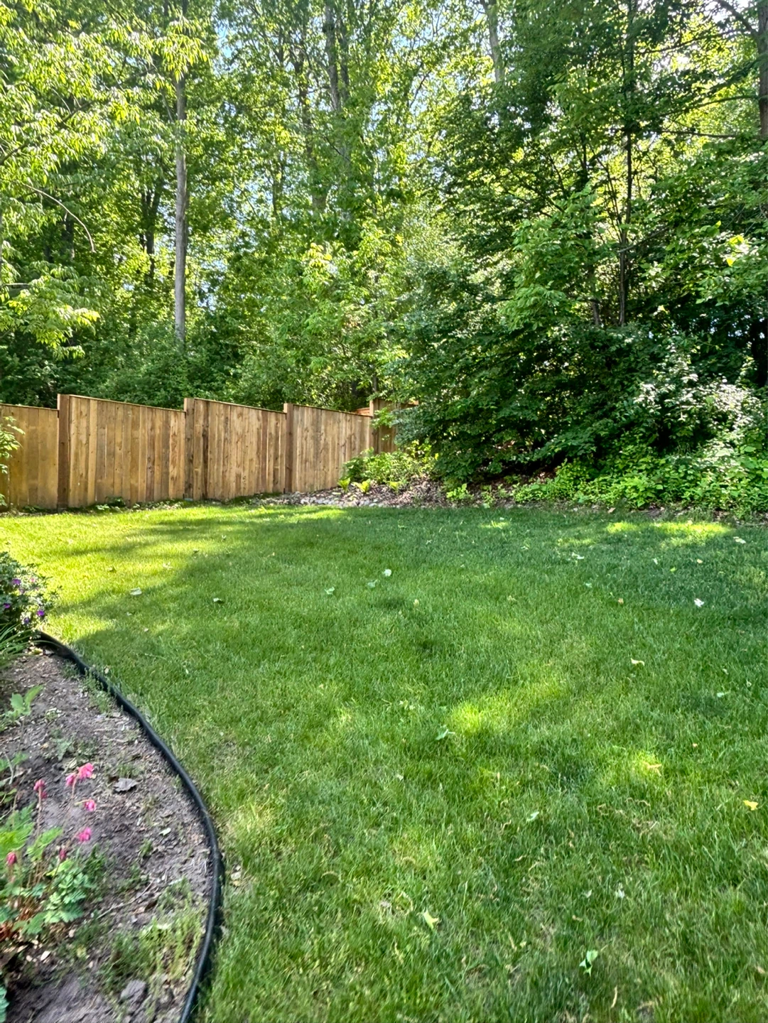 Grass cutting all summer long (*check description*) - photo 3