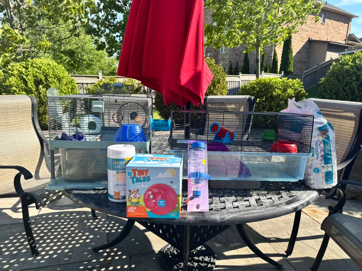 Hamster Habitat and Accessories Bundle