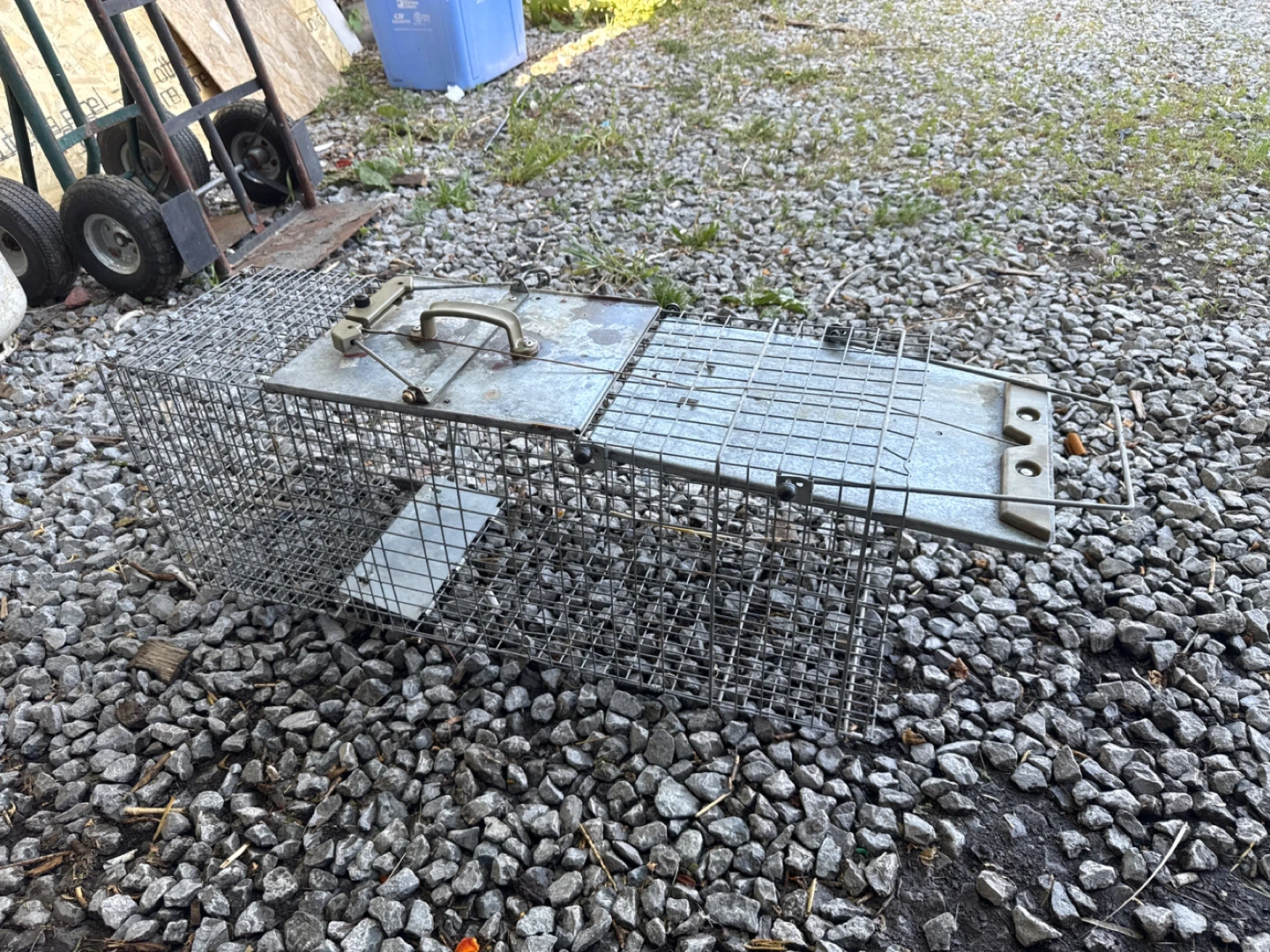 Galvanized Metal Animal Trap Cage