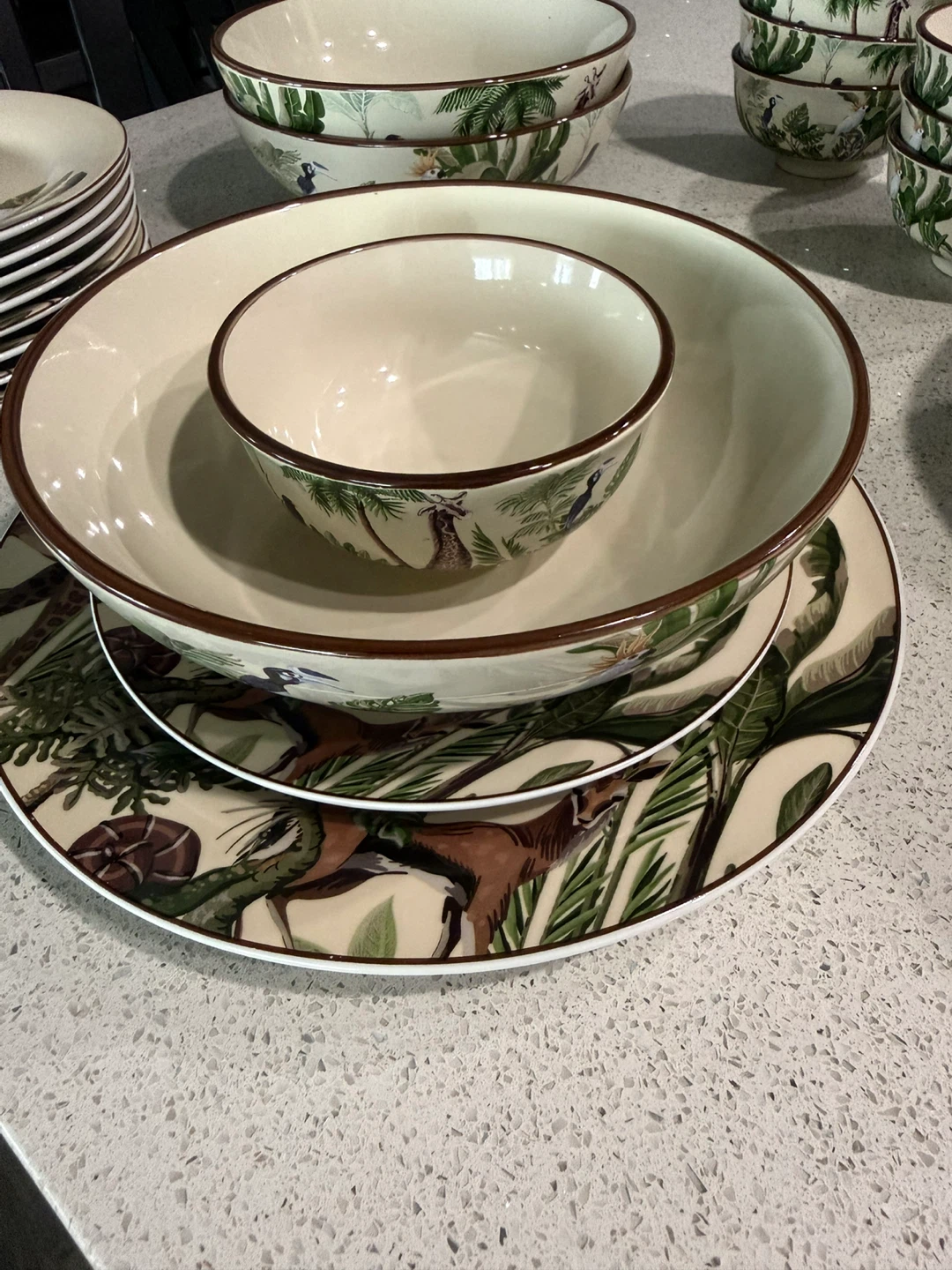 Safari Animals Dinnerware Set