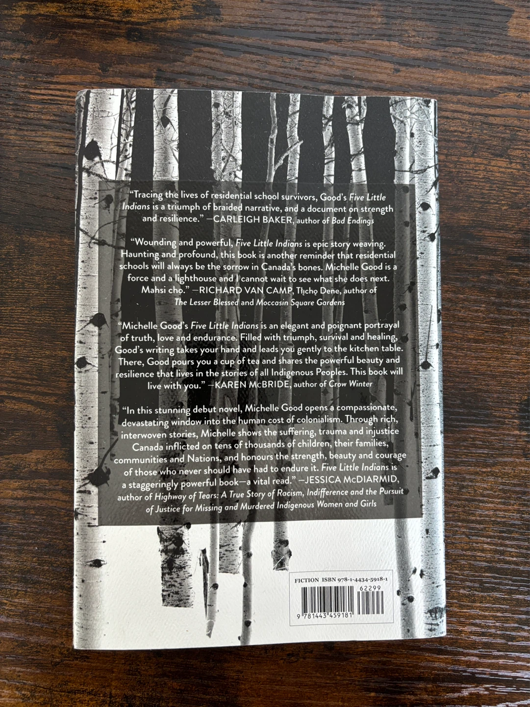 Five Little Indians by Michelle Good - Fiction Book - photo 2