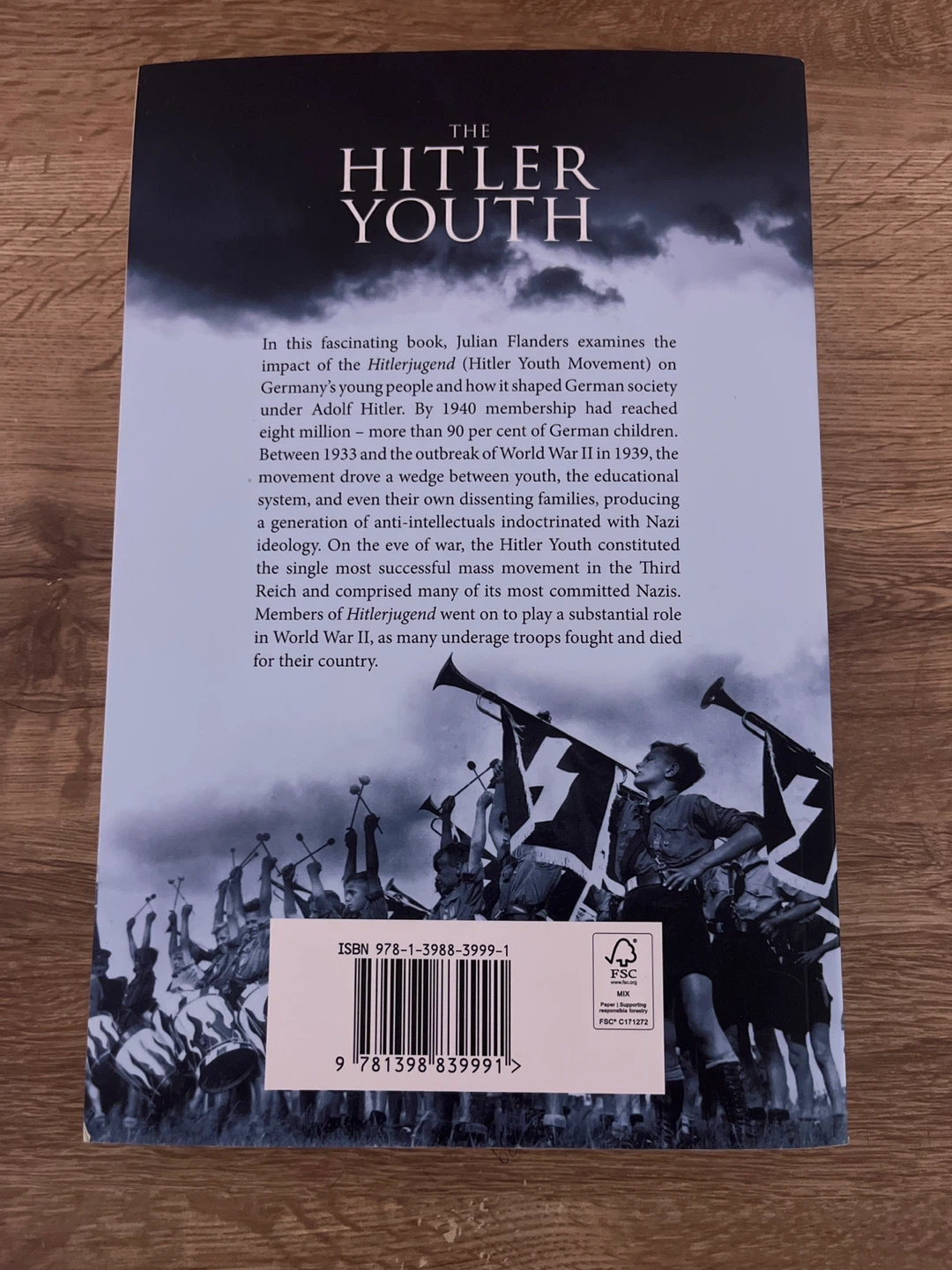The Hitler Youth by Julian Flanders (History Paperback) - photo 2