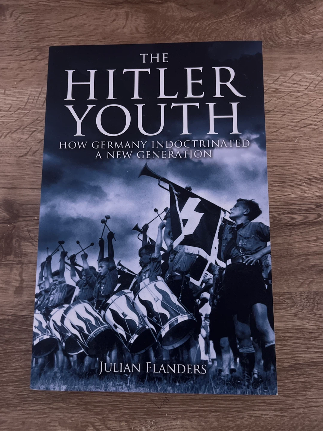 The Hitler Youth by Julian Flanders (History Paperback)