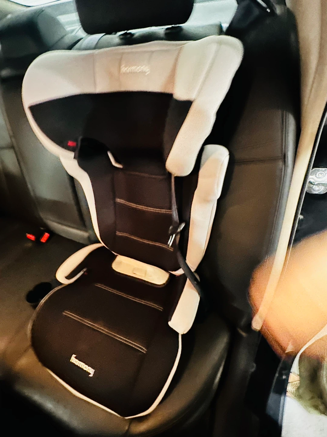 Harmony Car Seat Booster