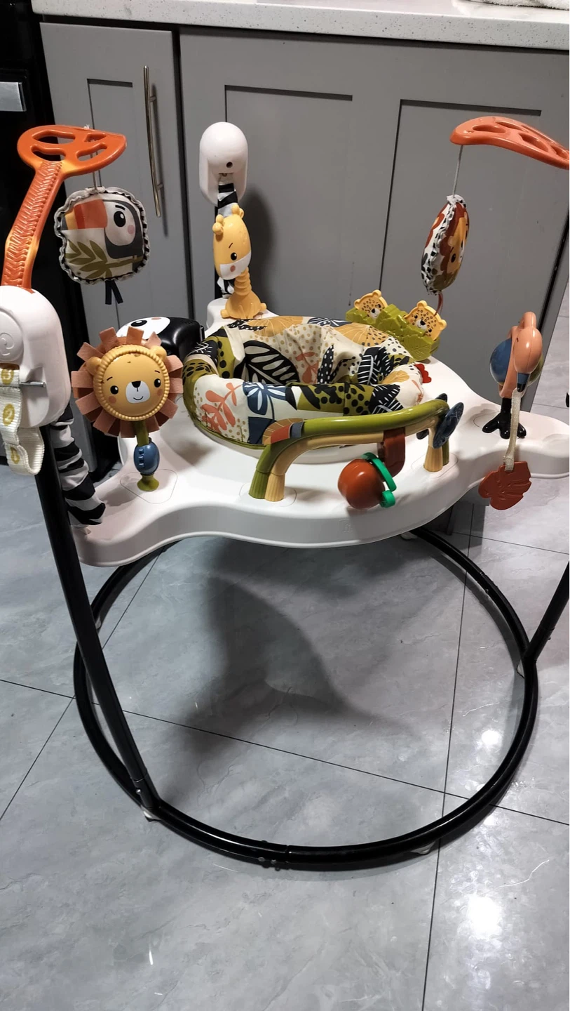 Fisher-Price Jumperoo - photo 3