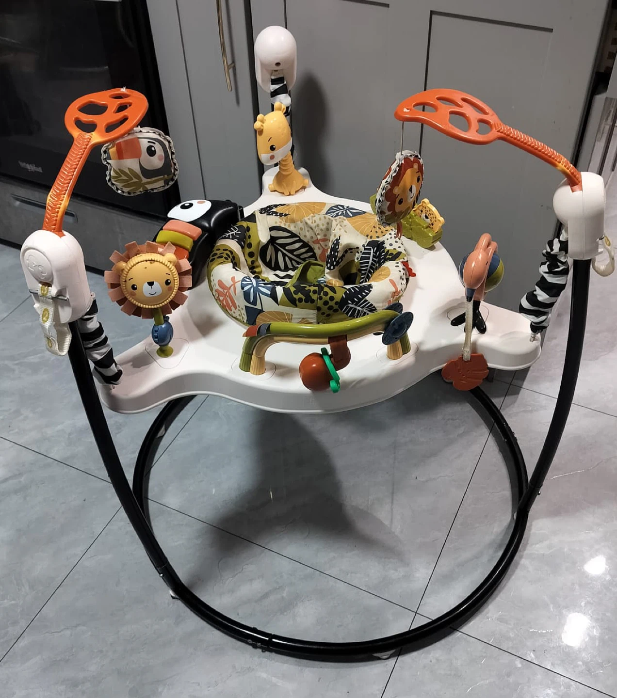 Fisher-Price Jumperoo - photo 2