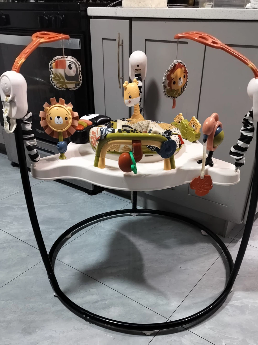 Fisher-Price Jumperoo - photo 5