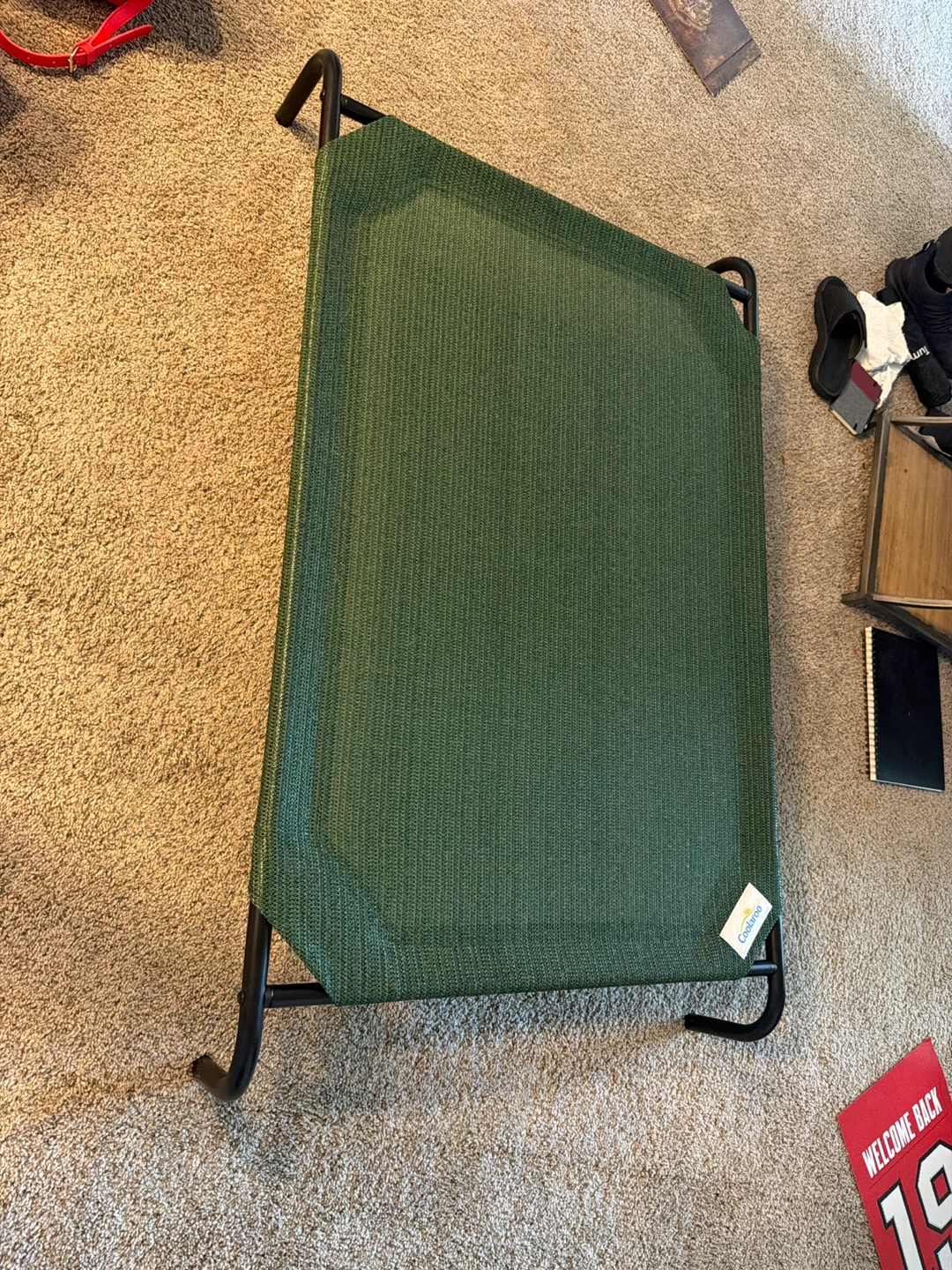 Coolaroo Elevated Pet Bed - Green