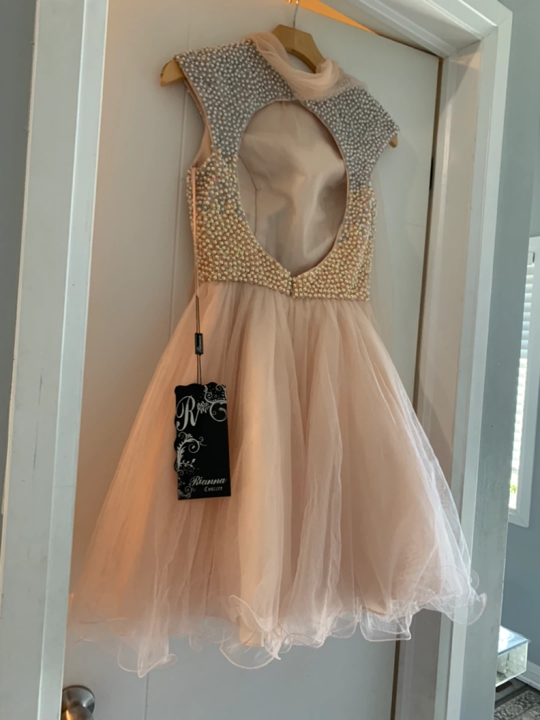 Rianna Couture Beaded Tulle Dress - Blush - Size 4 - photo 2