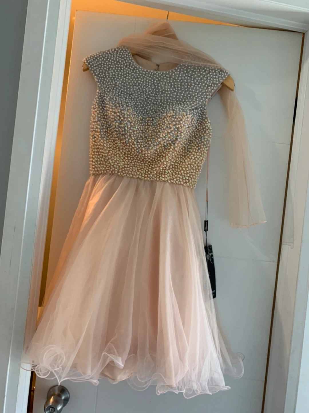 Rianna Couture Beaded Tulle Dress - Blush - Size 4