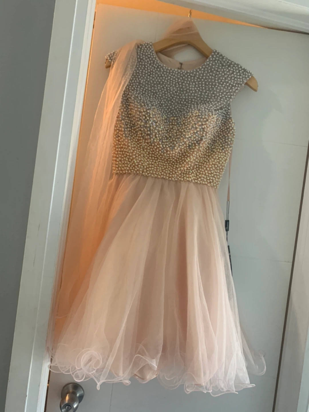 Rianna Couture Beaded Tulle Dress - Blush - Size 4 - photo 4