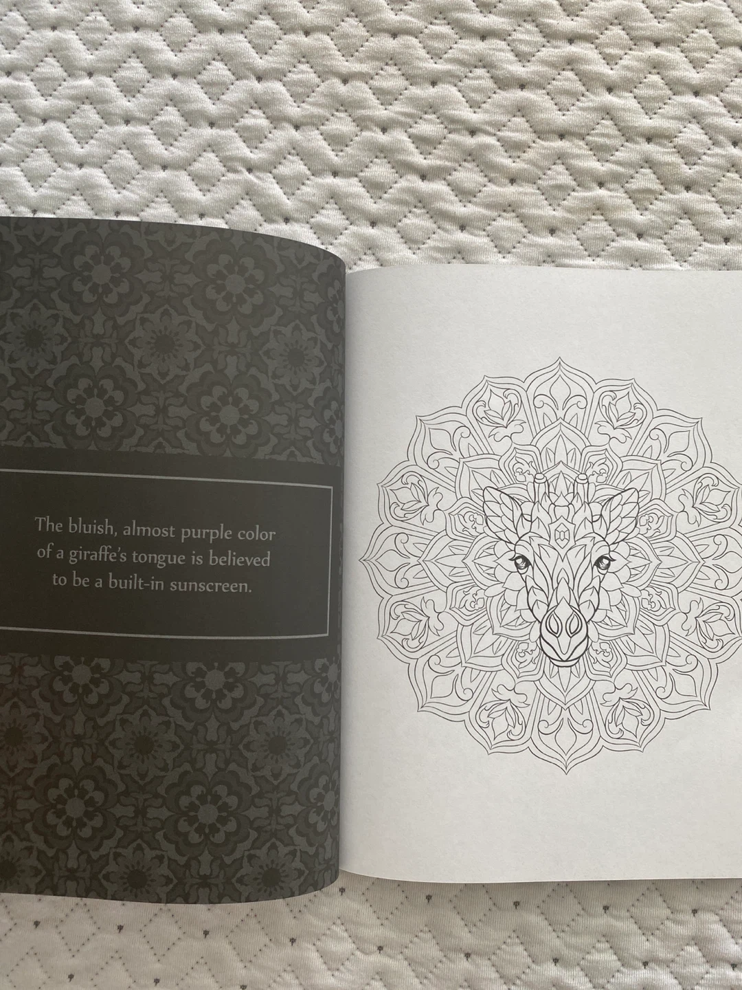 Coloring Book - Animal Mandalas - photo 2