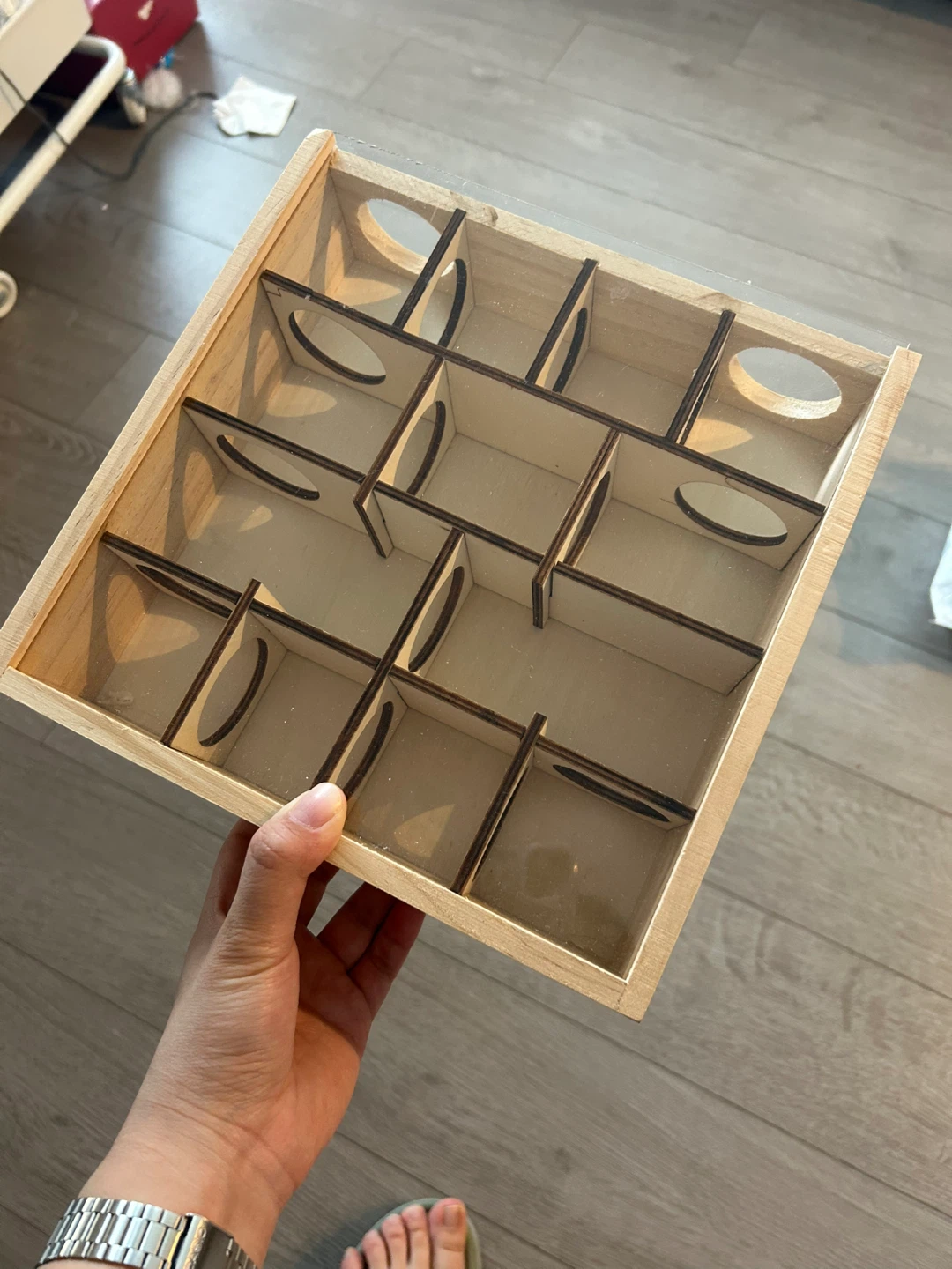 Hamster maze