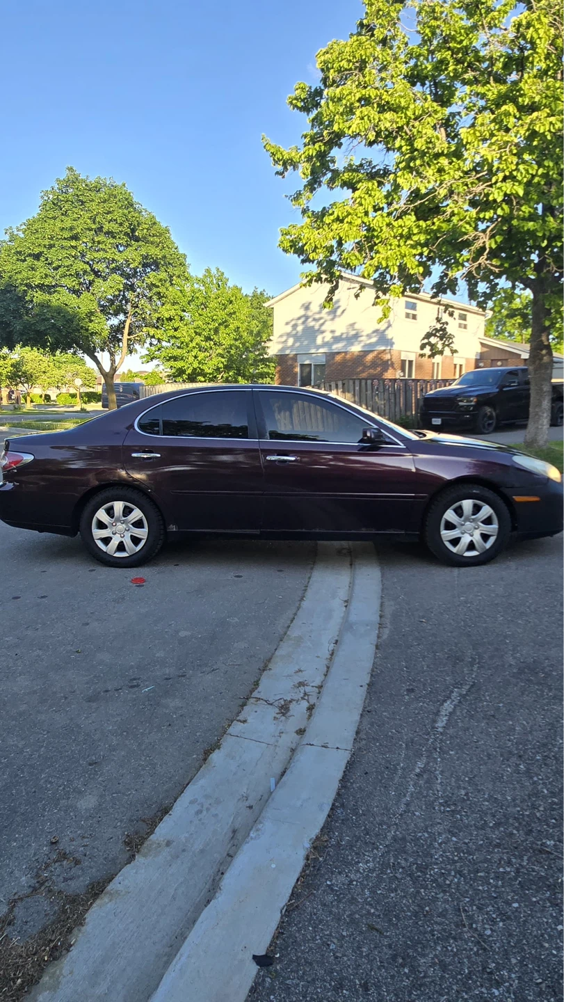 Lexus Sedan - photo 3