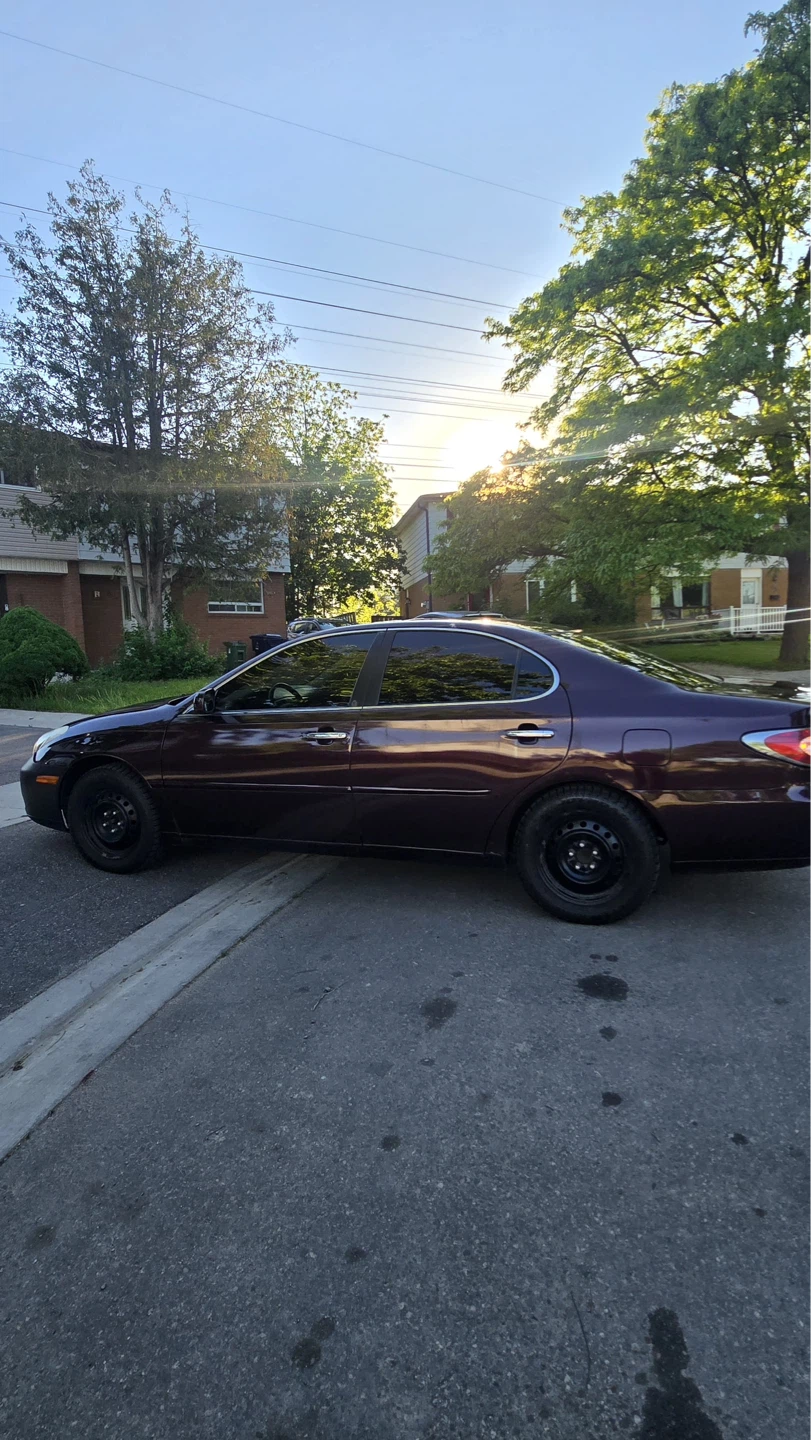 Lexus Sedan - photo 5