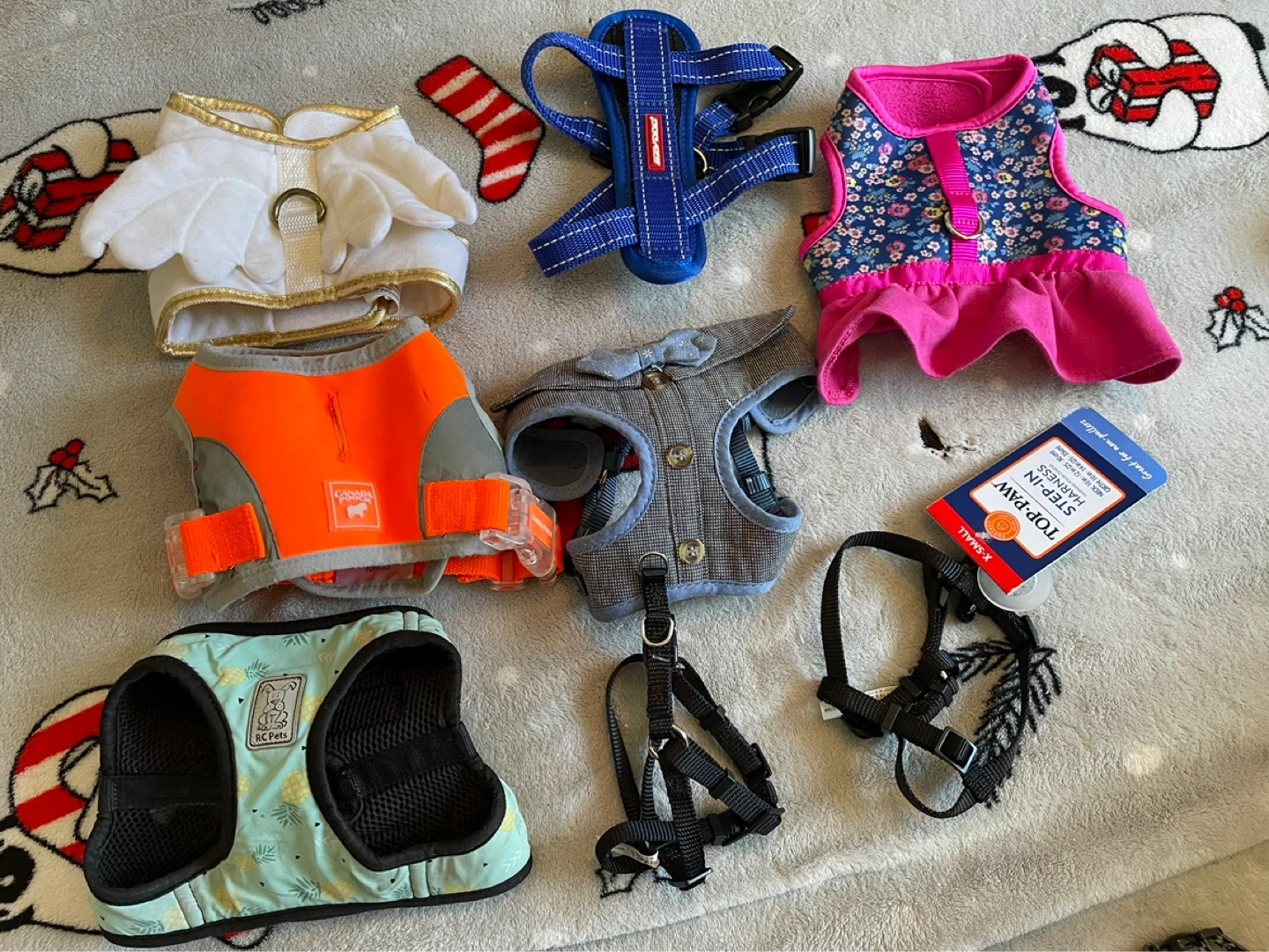XS Dog Harnesses Lot